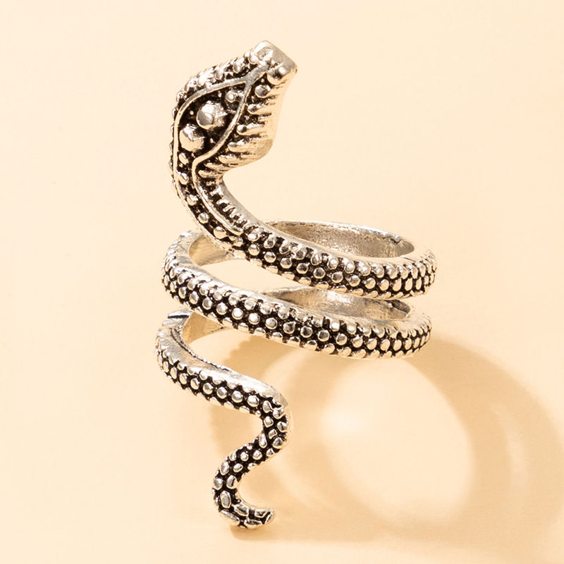 A snake with two rings - a ring